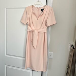 Adrianna Papell Pink Dress